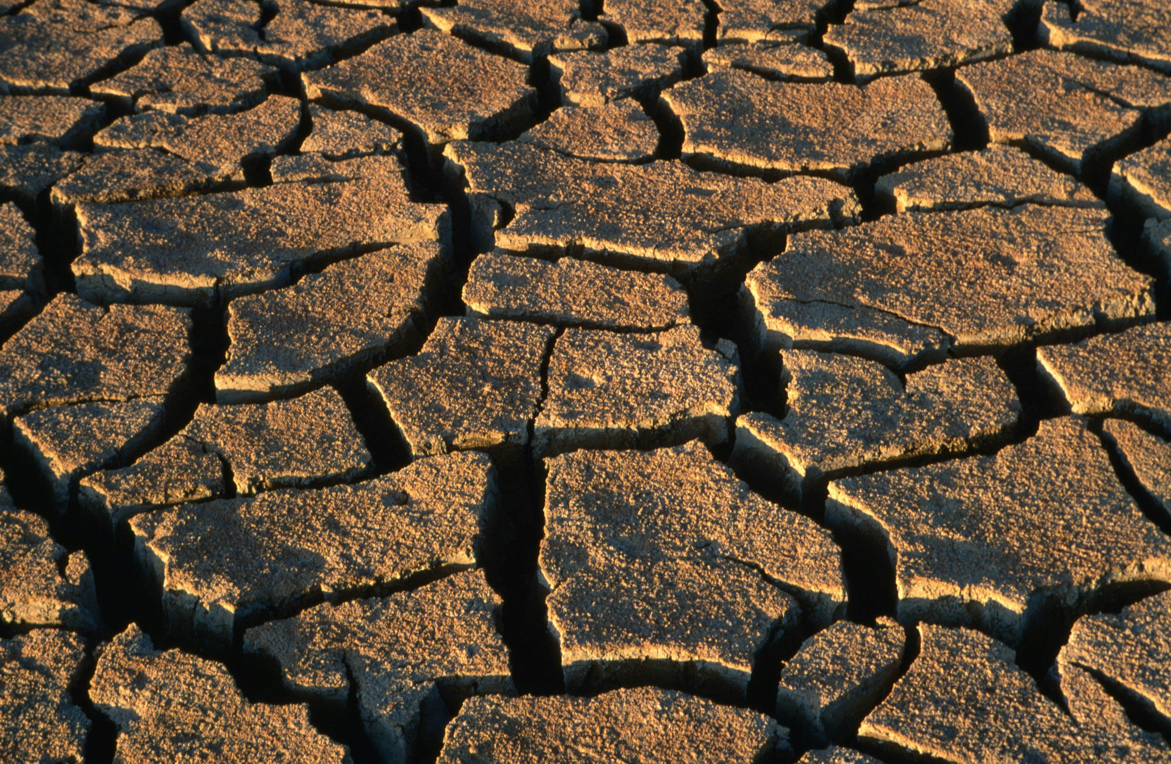 Overhead of mud cracks near Grosvenor Arch.
