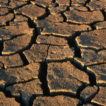 Overhead of mud cracks near Grosvenor Arch.