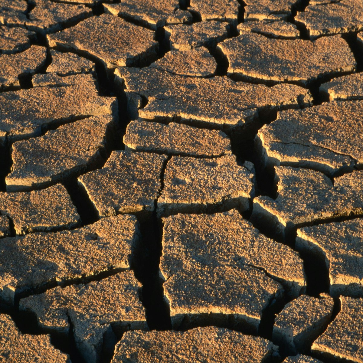 Overhead of mud cracks near Grosvenor Arch.