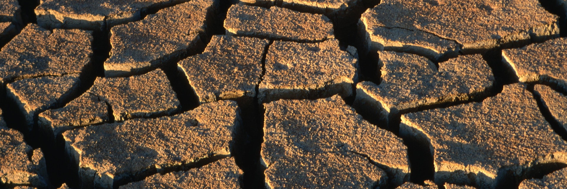 Overhead of mud cracks near Grosvenor Arch.