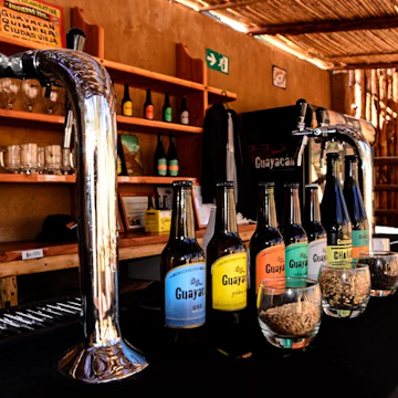 Cervecería Guayacan