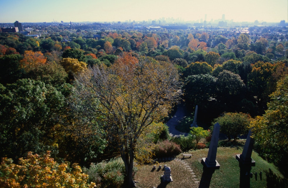Looking over Mt Auburn Cemetery with a view of  Charles River Valley from the tower.