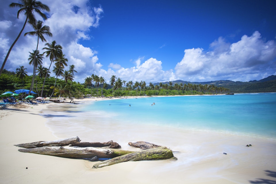 Dominican Republic, Samana Peninsula, Playa Rincon, Driftwood on beach