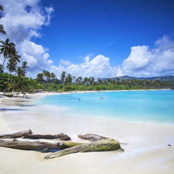 Dominican Republic, Samana Peninsula, Playa Rincon, Driftwood on beach