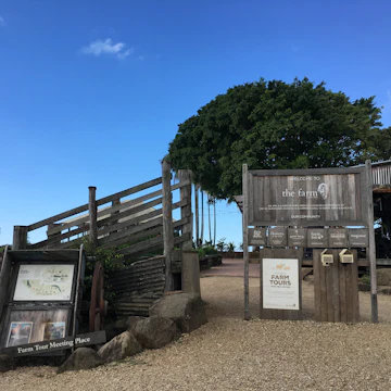 Take a walk to meet the animals or get there early for a guided tour