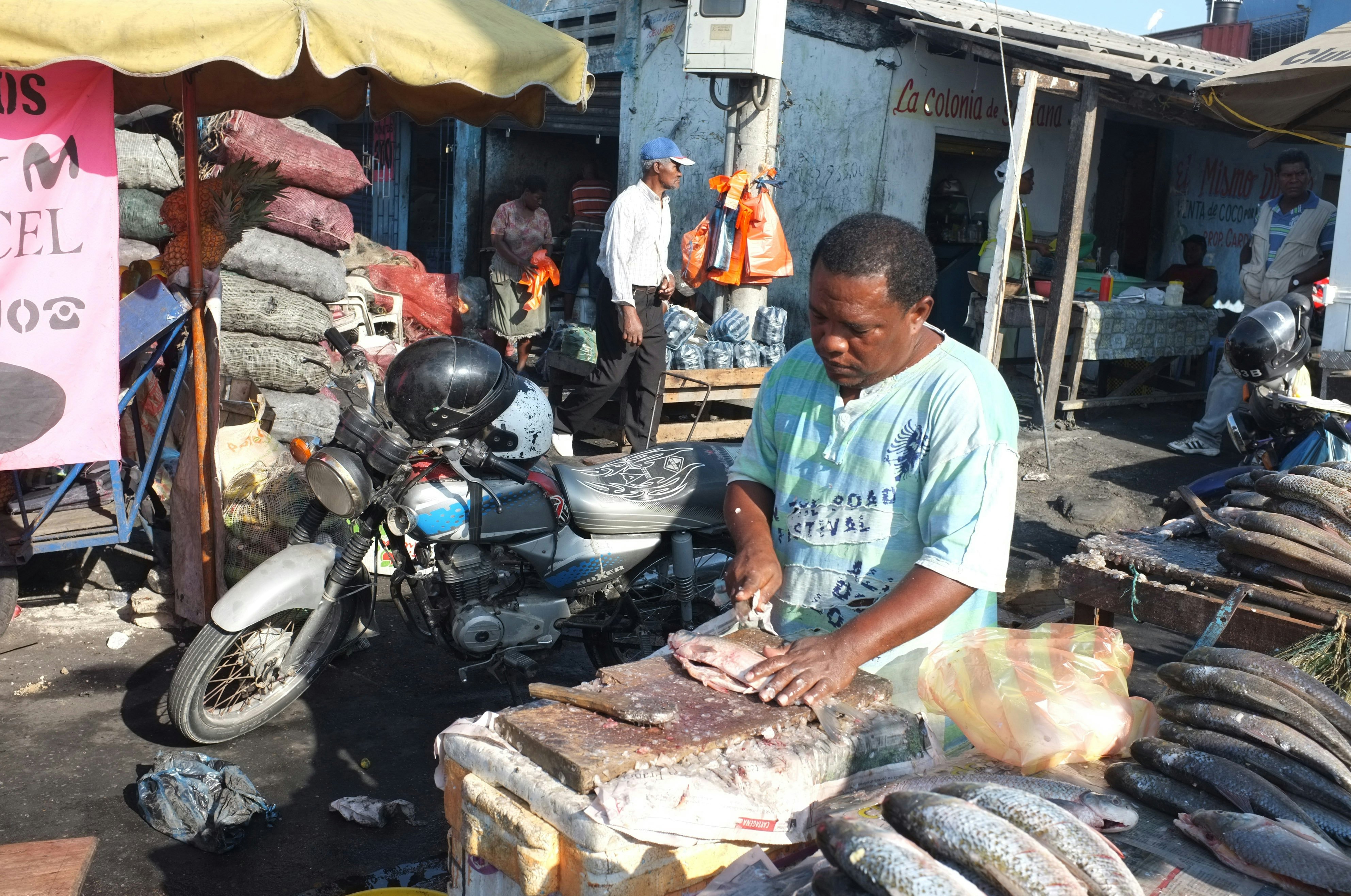 CARTAGENA of INDIAS, COLOMBIA - JANUARY 28, 2012: Fresh fish is cleaned and cut by a vendor in Bazurto market on January 28, 2012 in Cartagena, Colombia. Bazurto is a major urban market, colorful, chaotic and full of life. (Photo by Kaveh Kazemi/Getty Images)