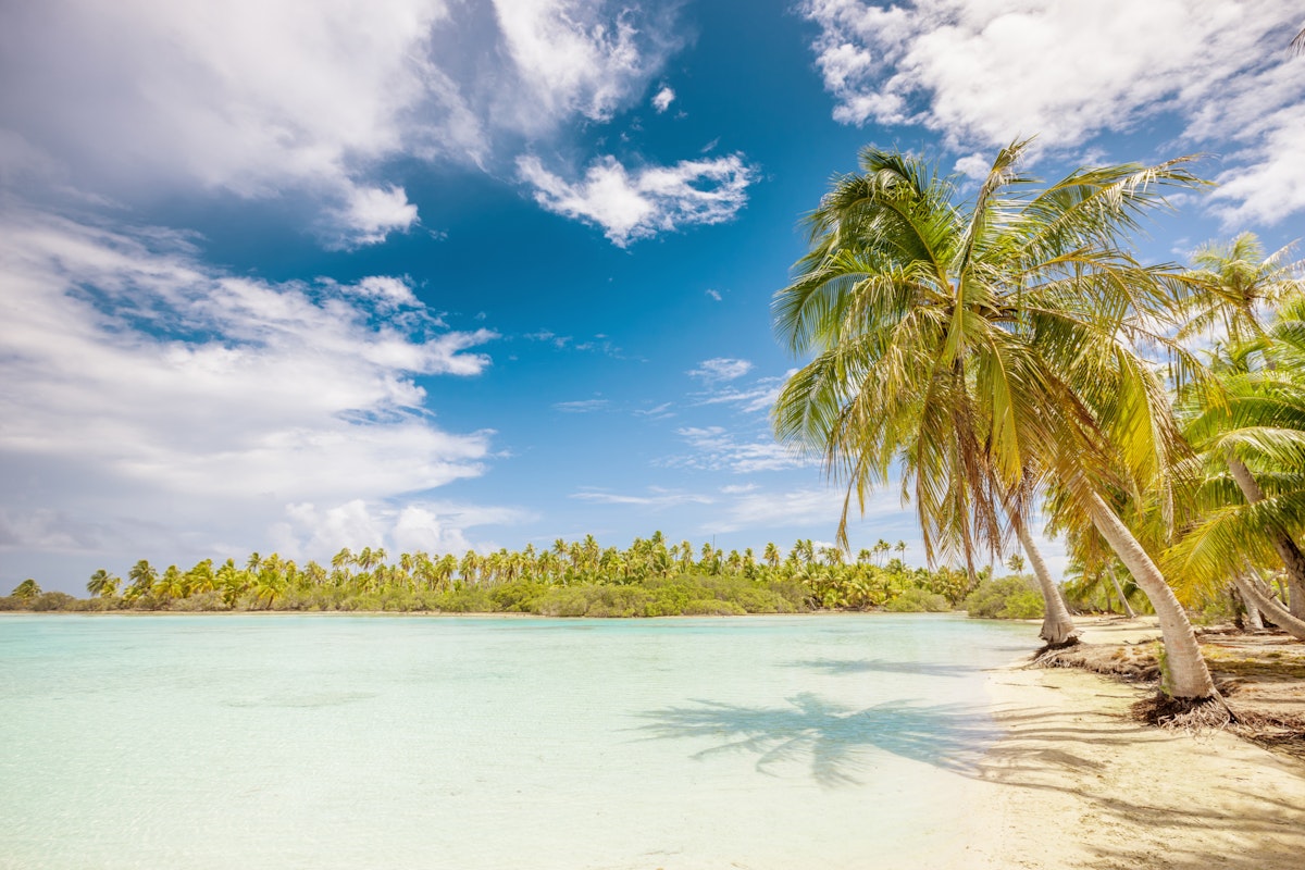 Sand beach with palm trees, turquoise clear water under blue sky. Perfect beach for relaxing. Fakarava Island, Tuamotu Archipelago, French Polynesia.