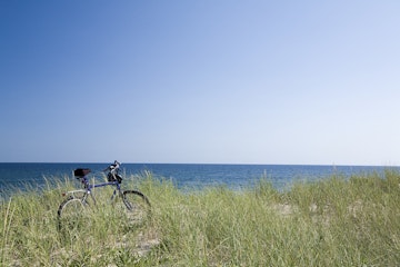 Grass covering bicycle parked on beach dune.