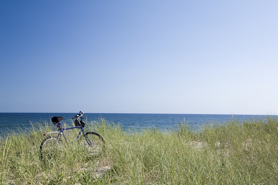Grass covering bicycle parked on beach dune.