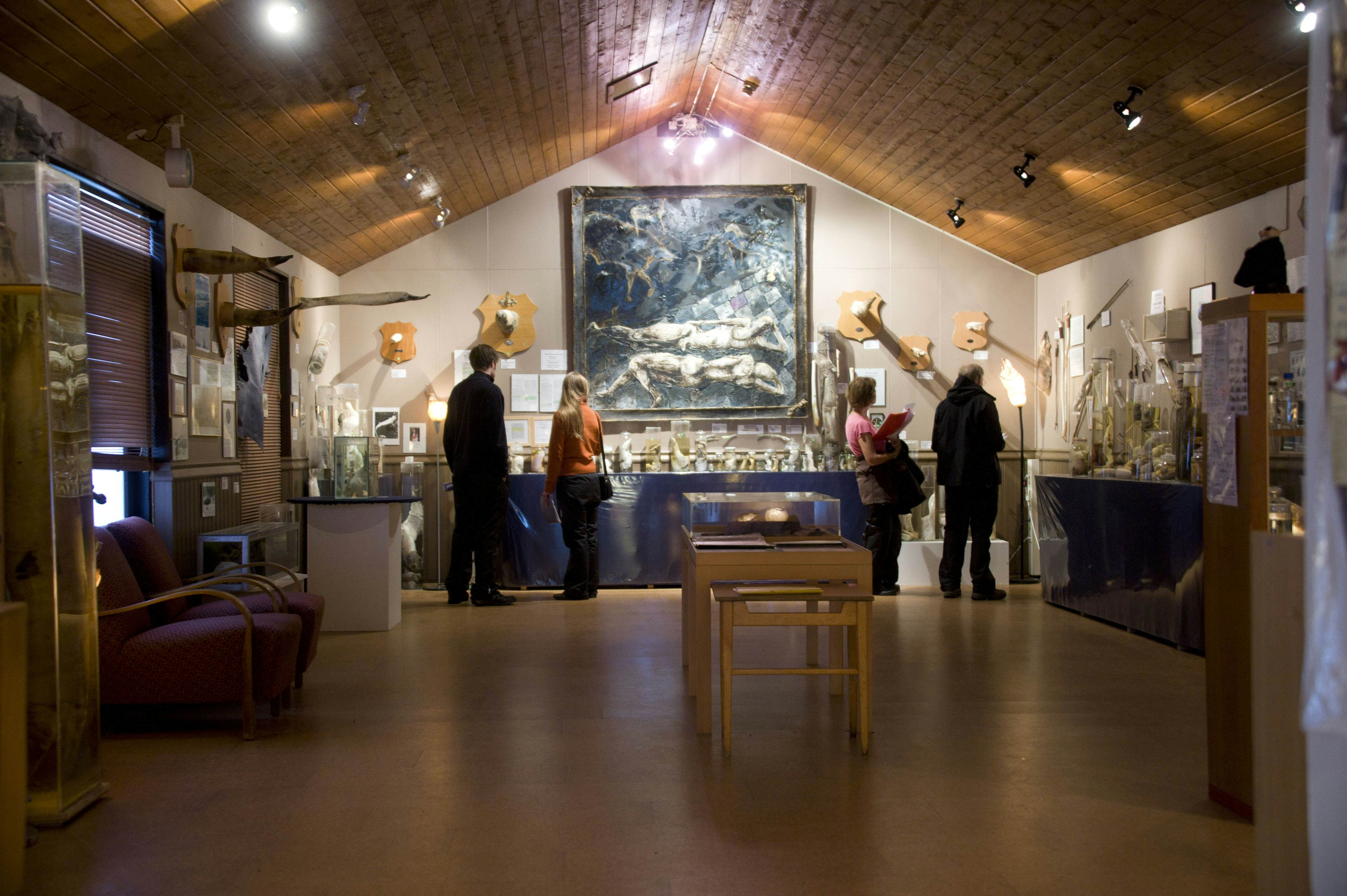 TO GO WITH AFP STORY BY Nina LARSON  .People visit Iceland's Phallological Museum on June 28, 2011 in Husavik. From gigantic whale penises to speck-sized field mouse testicles and lampshades made from bull scrotums, Iceland's small Phallological Museum has it all, and recently put its first human member on display. AFP PHOTO / HALLDOR KOLBEINS (Photo credit should read HALLDOR KOLBEINS/AFP/Getty Images)