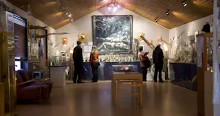 Icelandic Phallological Museum