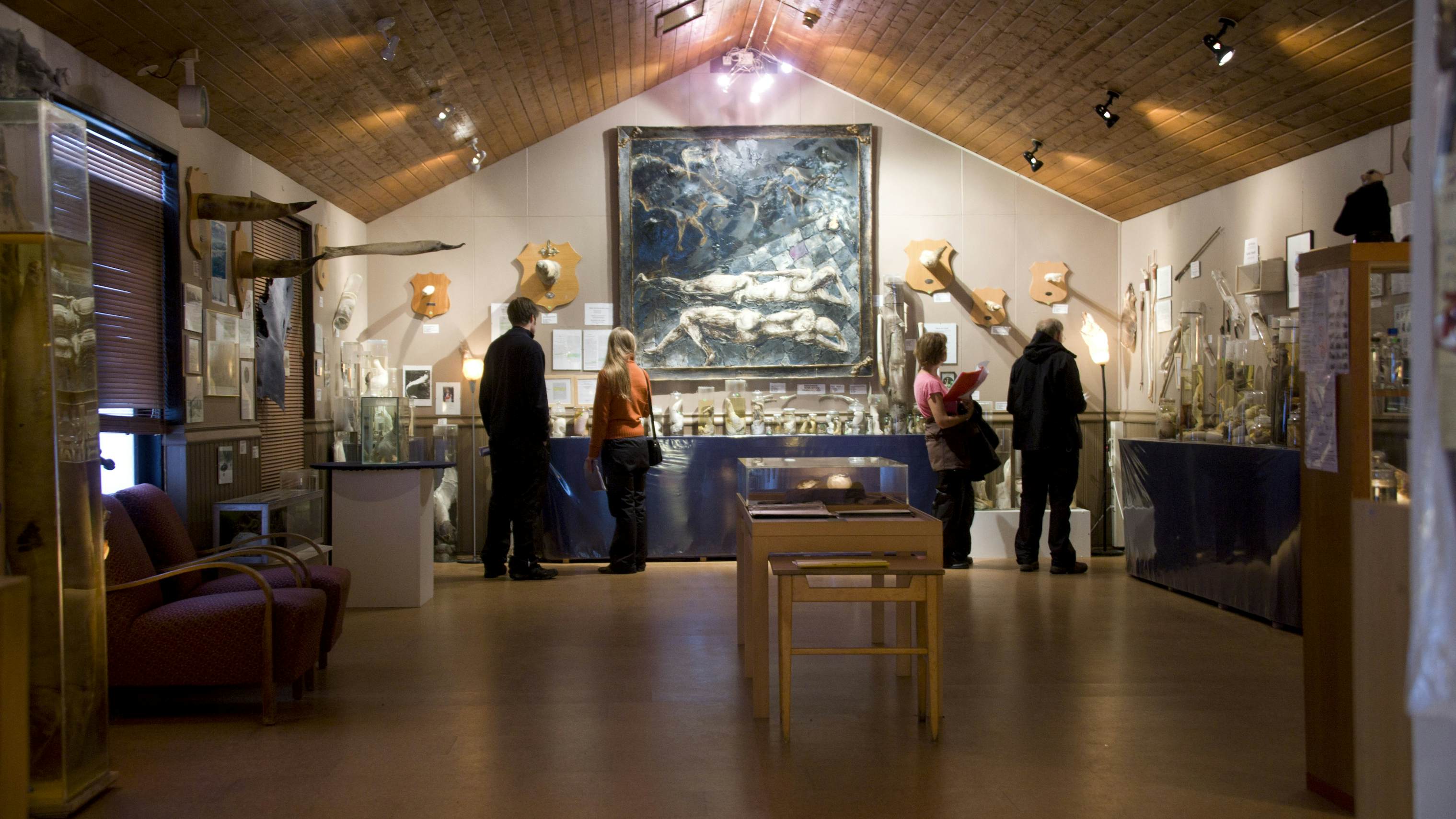 Human specimen display at the Phallological Museum