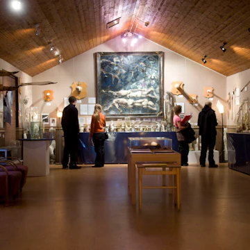 TO GO WITH AFP STORY BY Nina LARSON .People visit Iceland's Phallological Museum on June 28, 2011 in Husavik. From gigantic whale penises to speck-sized field mouse testicles and lampshades made from bull scrotums, Iceland's small Phallological Museum has it all, and recently put its first human member on display. AFP PHOTO / HALLDOR KOLBEINS (Photo credit should read HALLDOR KOLBEINS/AFP/Getty Images)