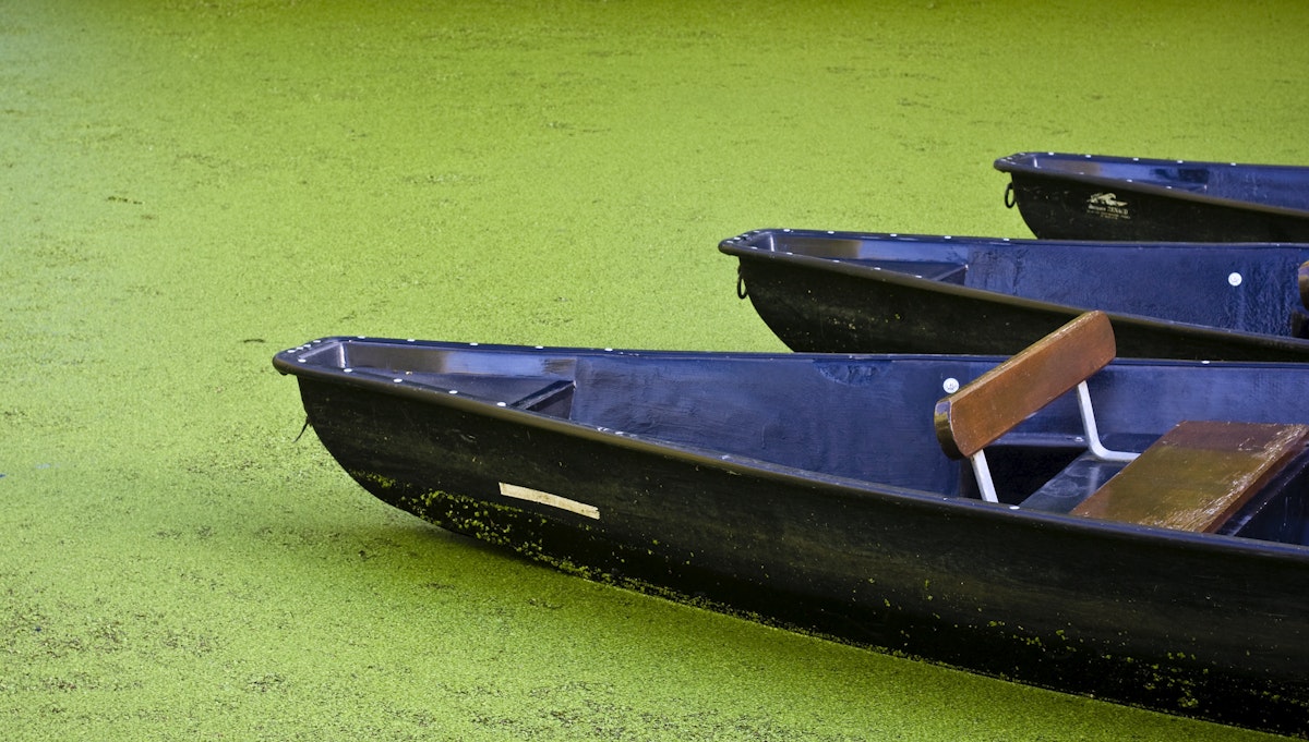 Boats of poitevin marsh