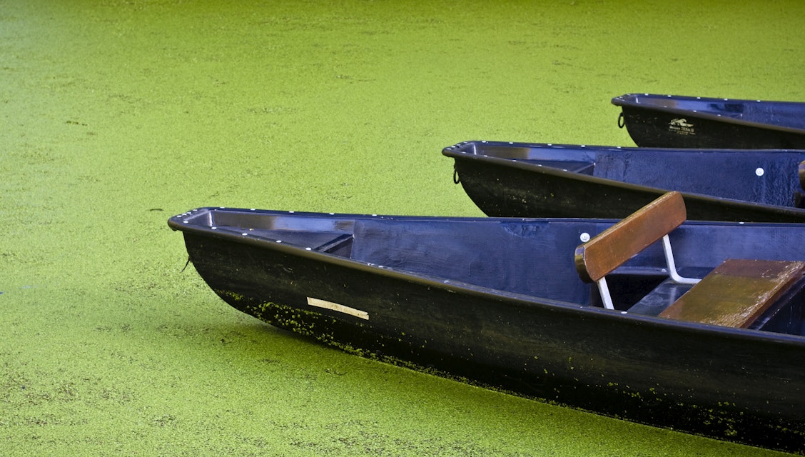 Boats of poitevin marsh