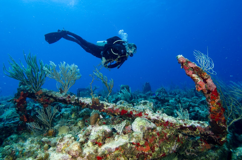 Diver with large anchor at Anchor Point North, Statia (St Eustatius), Caribbean