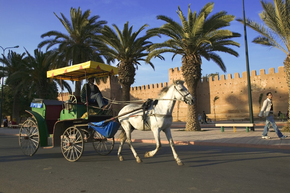 Horse and carriage with the ramparts that surround the medina of the town of Taroudannt in the background. Morocco