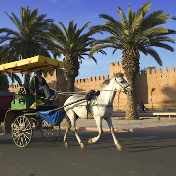 Horse and carriage with the ramparts that surround the medina of the town of Taroudannt in the background. Morocco