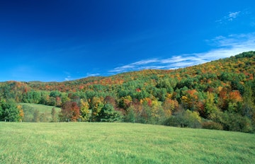Eastern mixed deciduous forest in autumn, Green Mountain National Forest, Vermont.