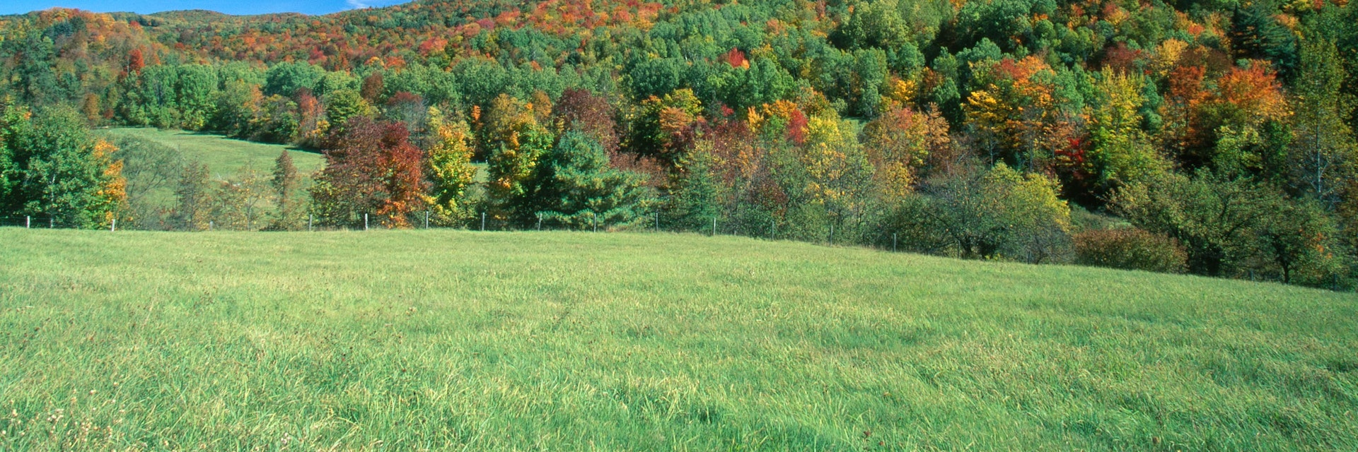 Eastern mixed deciduous forest in autumn, Green Mountain National Forest, Vermont.