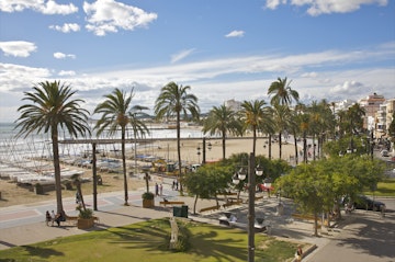 View from on high of palm trees, walkway and beach
