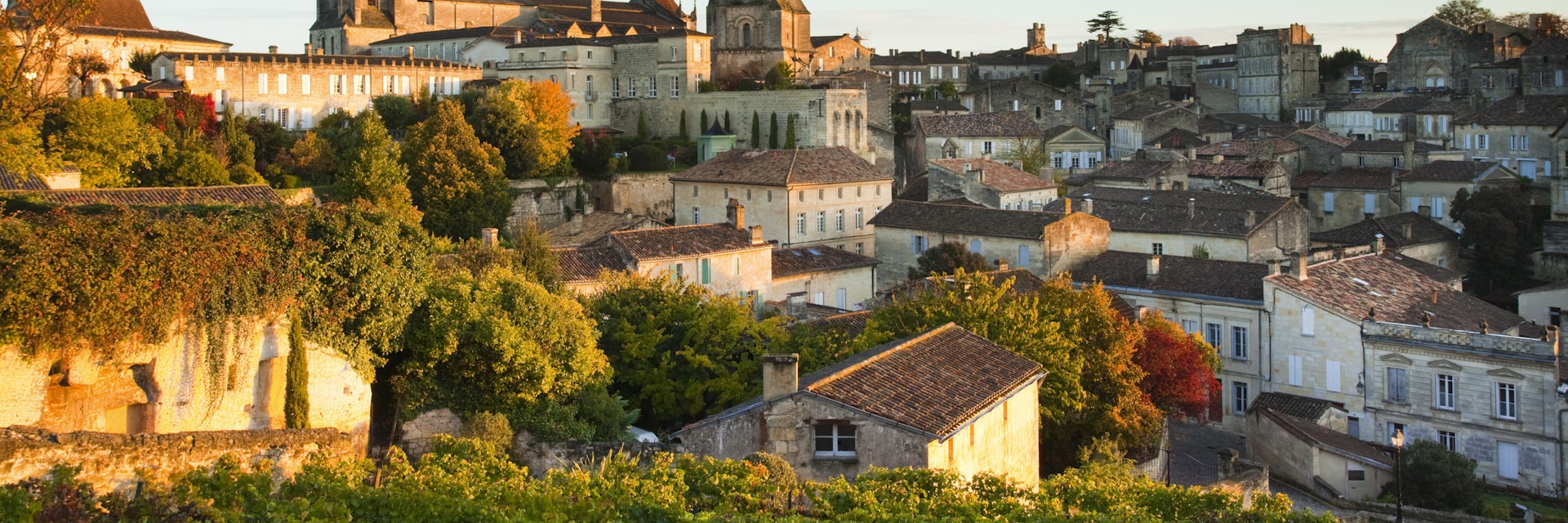 France, Aquitaine Region, Gironde Department, St-Emilion, wine town, town view with Eglise Monolithe church, monring
