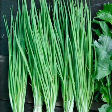 scallions