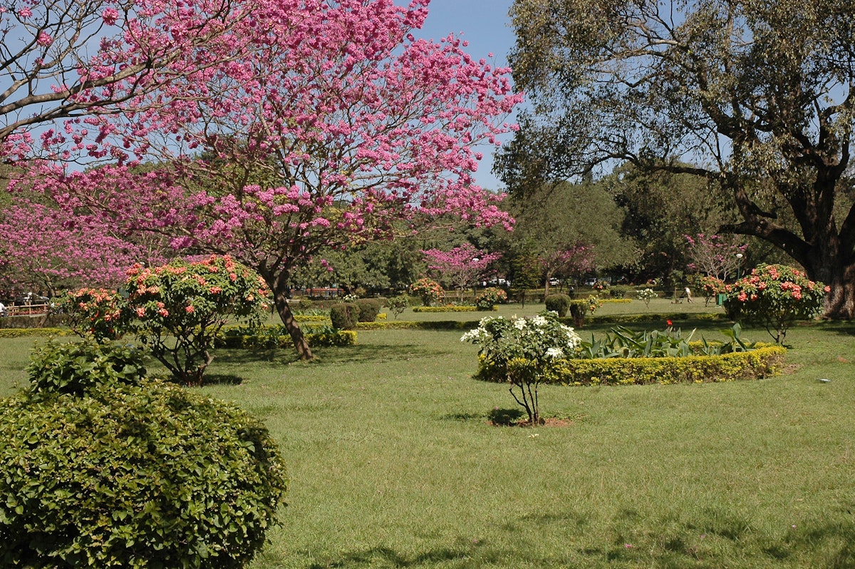 cubbon park, bangalore