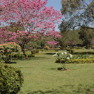 cubbon park, bangalore