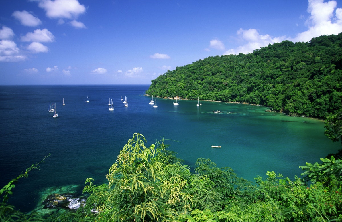 Pirates Bay, Small Antilles, Tobago, Caribbean