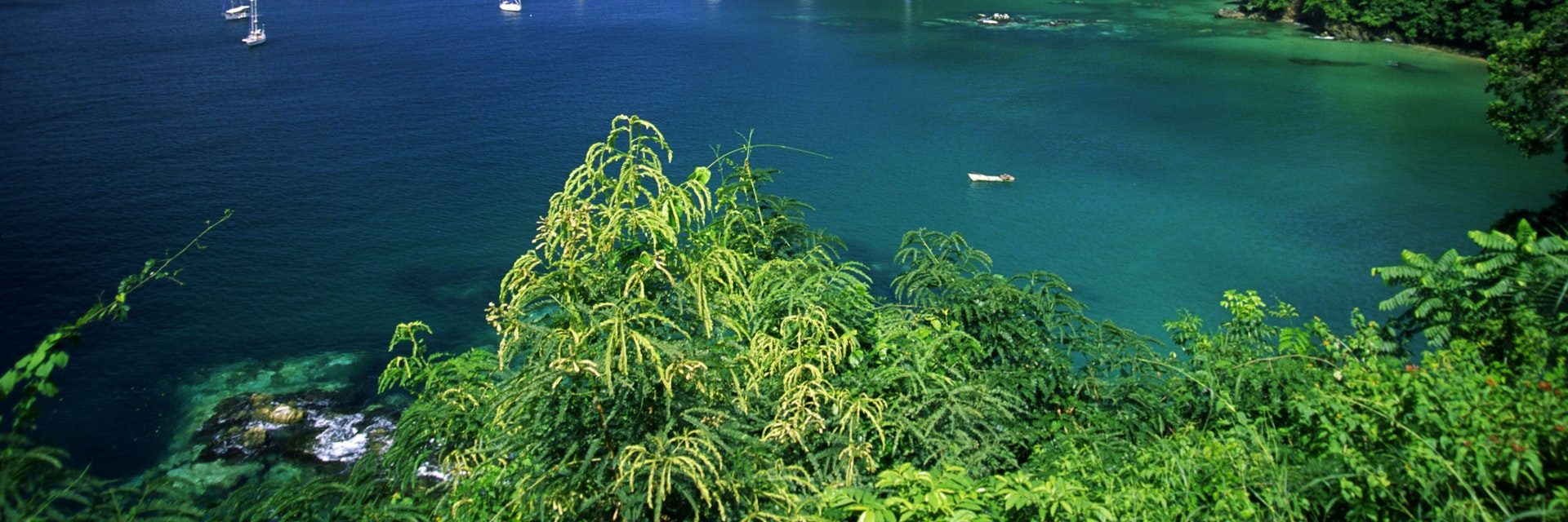 Pirates Bay, Small Antilles, Tobago, Caribbean