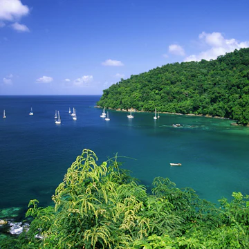 Pirates Bay, Small Antilles, Tobago, Caribbean