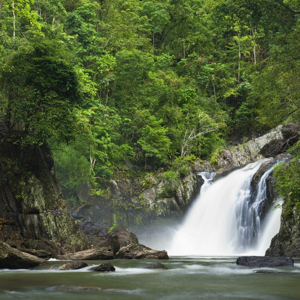Rainforest waterfall