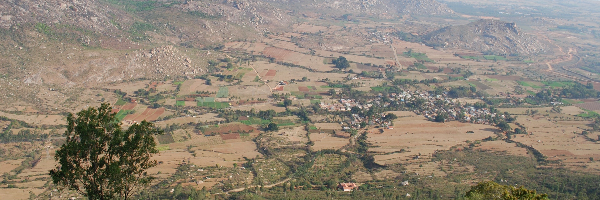 Misty landscape of Nandi Hills