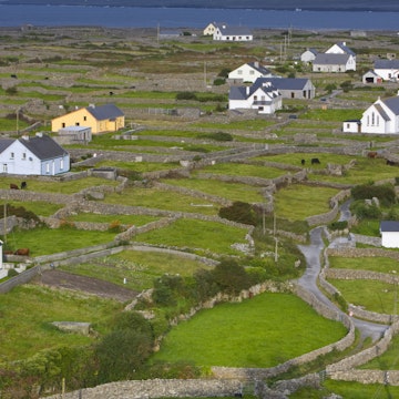Ireland, County Galway, Inisheer, Aran Islands, Rural scene