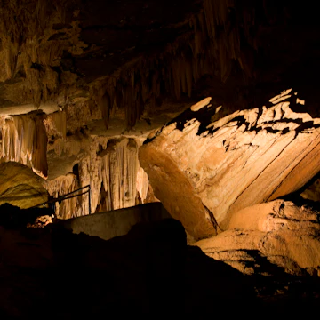 Al Hoota cave, situated at the southern side of Jabal Akdhar near Al-Hamra in Oman. It is an important yet fragile underground ecosystem with the presence of rare and endemic animal species.