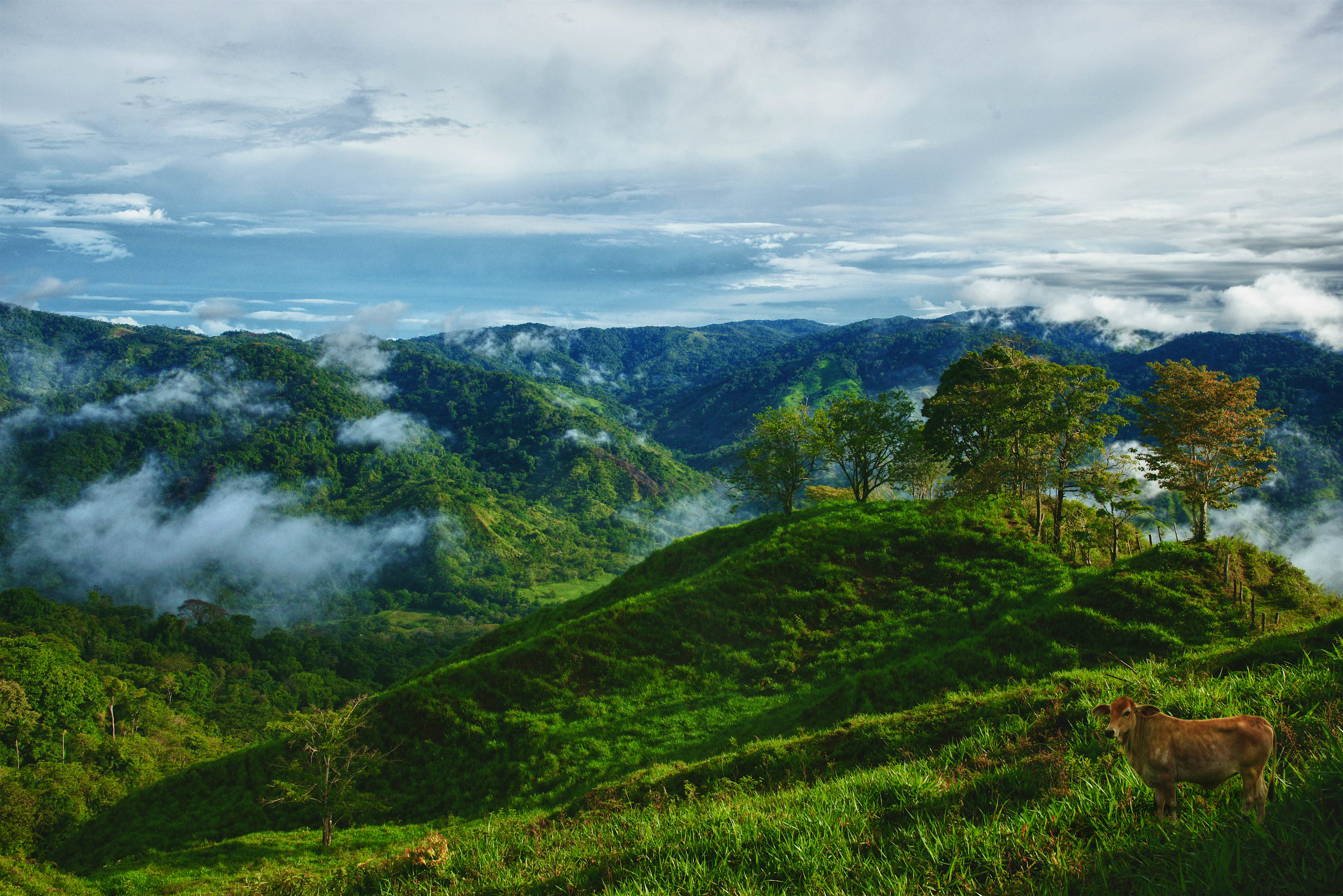 El Valle travel | Panama - Lonely Planet
