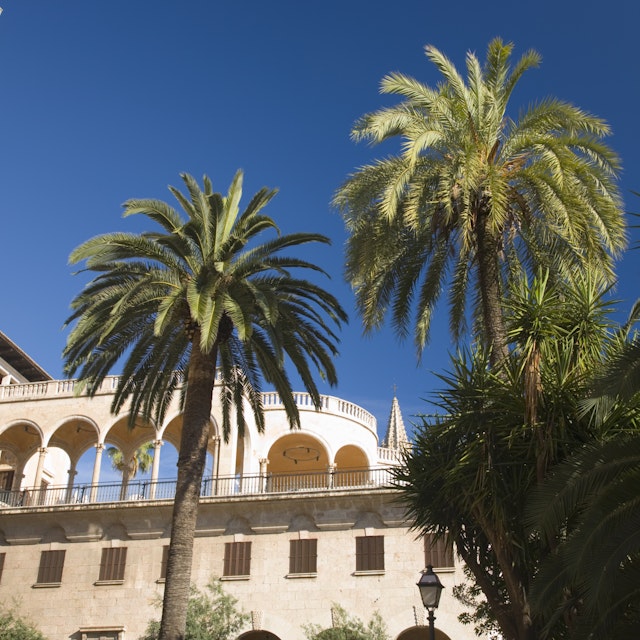 Palau March, a private palace now used as a modern art gallery, with palm trees in foreground.