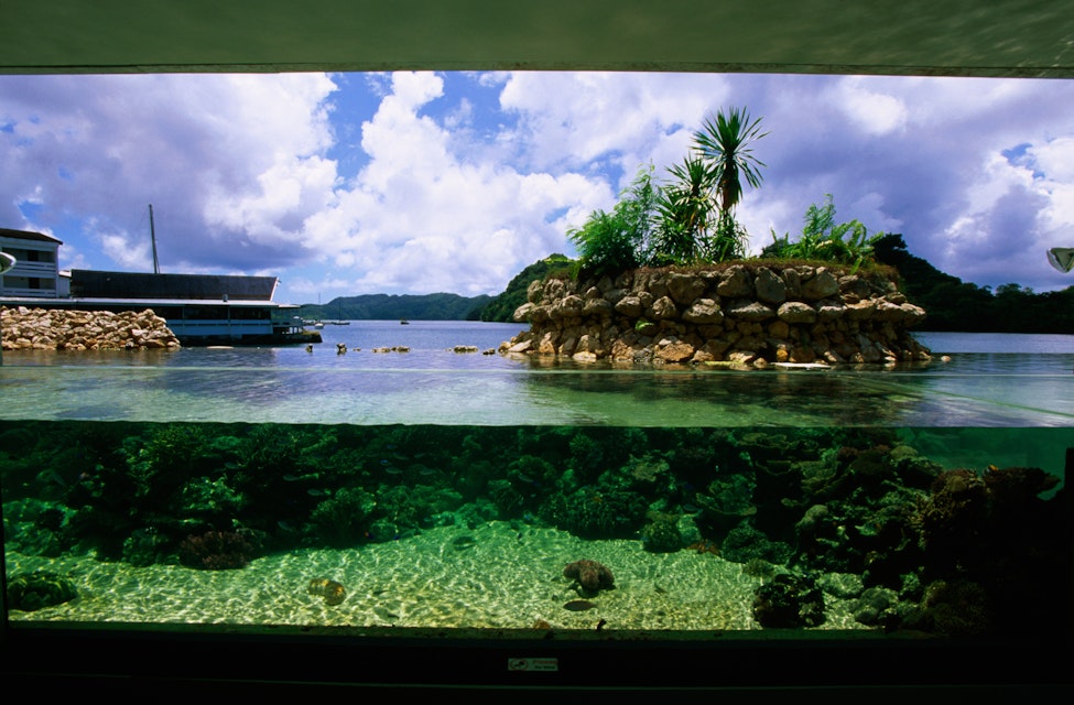 Underwater viewing area, Pulau Aquarium.