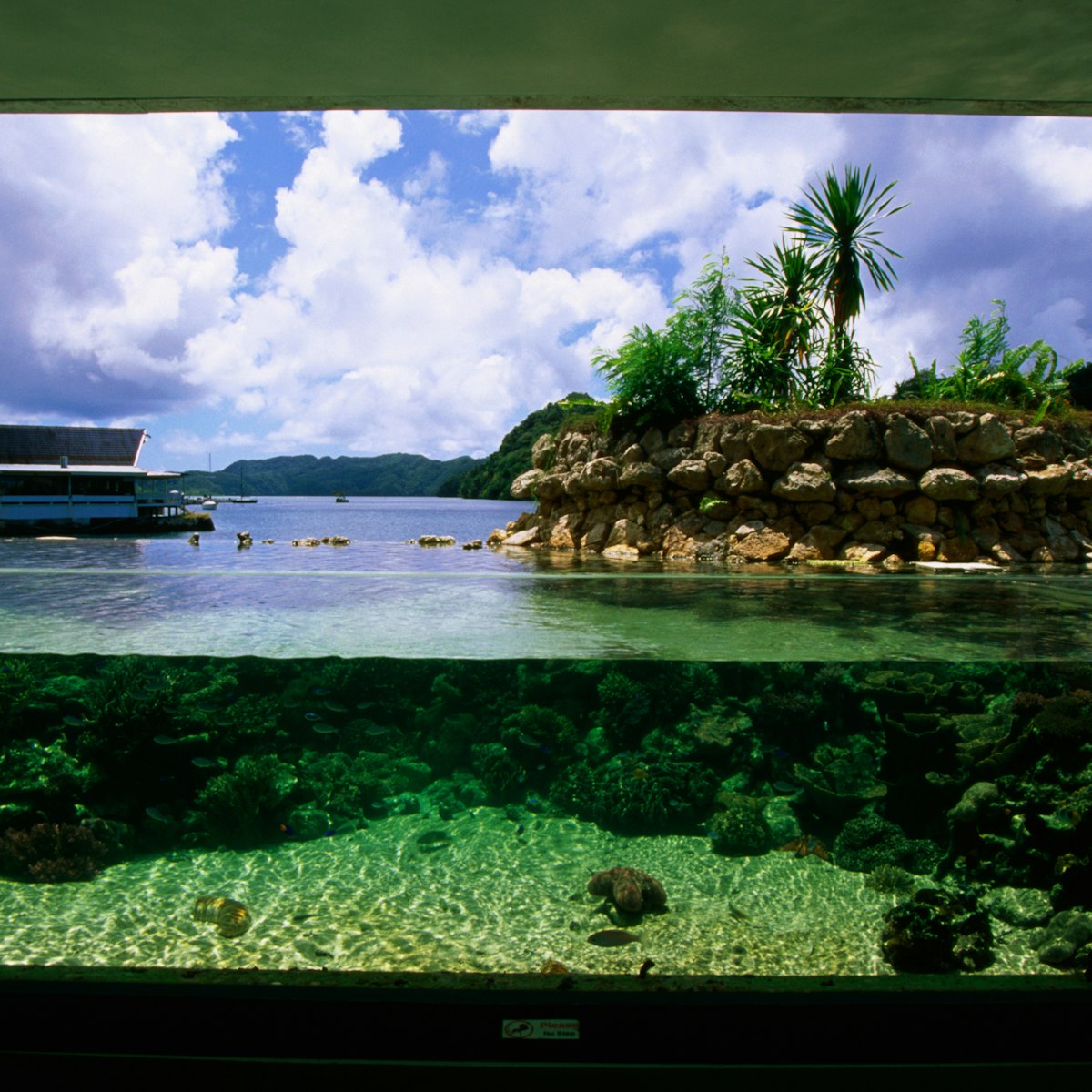 Underwater viewing area, Pulau Aquarium.