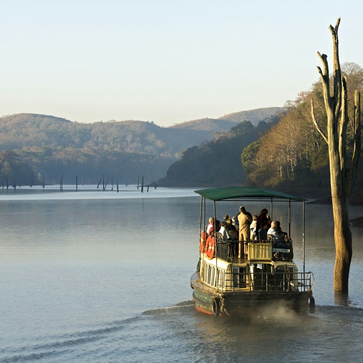 Sightseeing cruise passing dead tree on lake at Periyar Wildlife Sanctuary in early morning.
