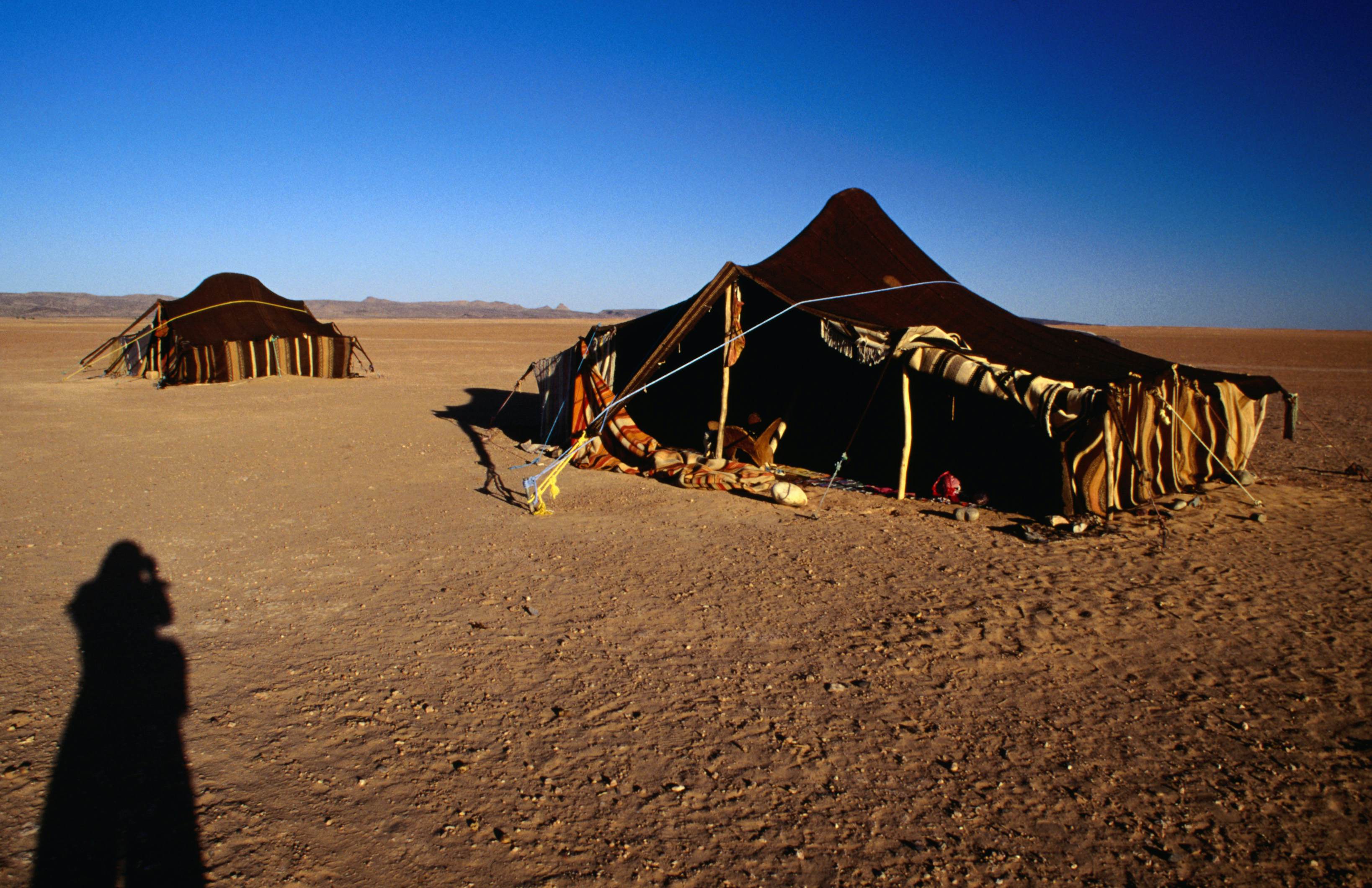 M Hamid Travel Morocco Lonely Planet