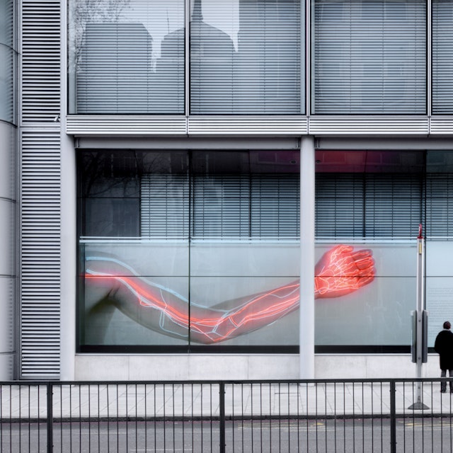 WELLCOME TRUST GIBBS BUILDING Tight view of people looking at 2008 Wellcome Trust window installation