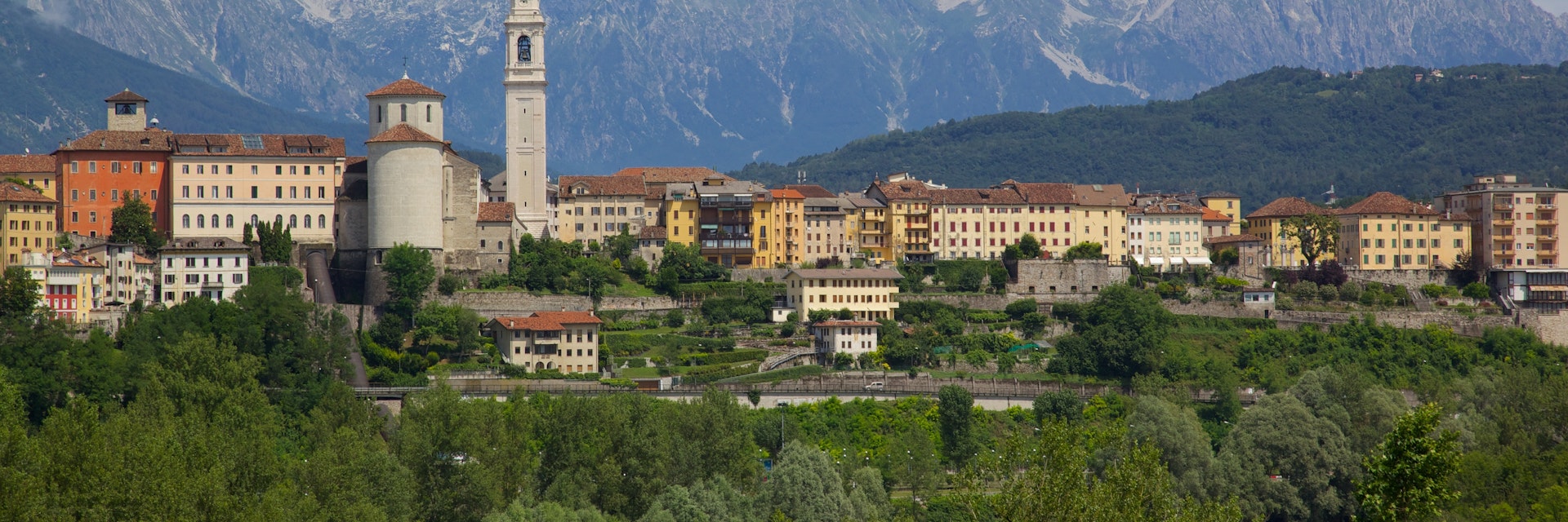 View of town and Duomo of San Martino, Belluno, Province of Belluno, Veneto, Italy, Europe
