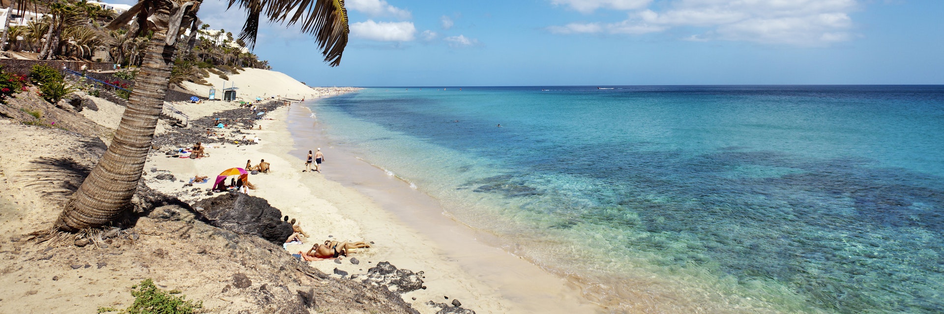 Seaside promenade with palm trees, Playa del Matorral, Morro Jable, Jandia peninsula, Fuerteventura, Canary Islands, Spain