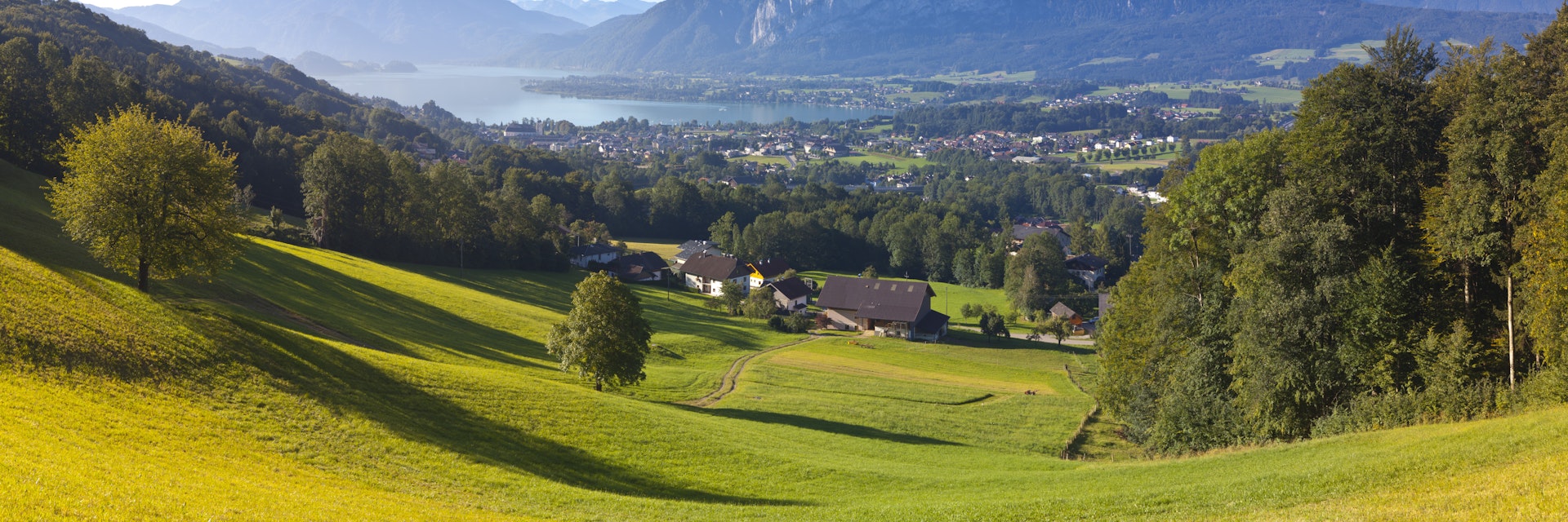Austria, Oberosterreich, Mondsee Lake, Mondsee, Alpine Meadow