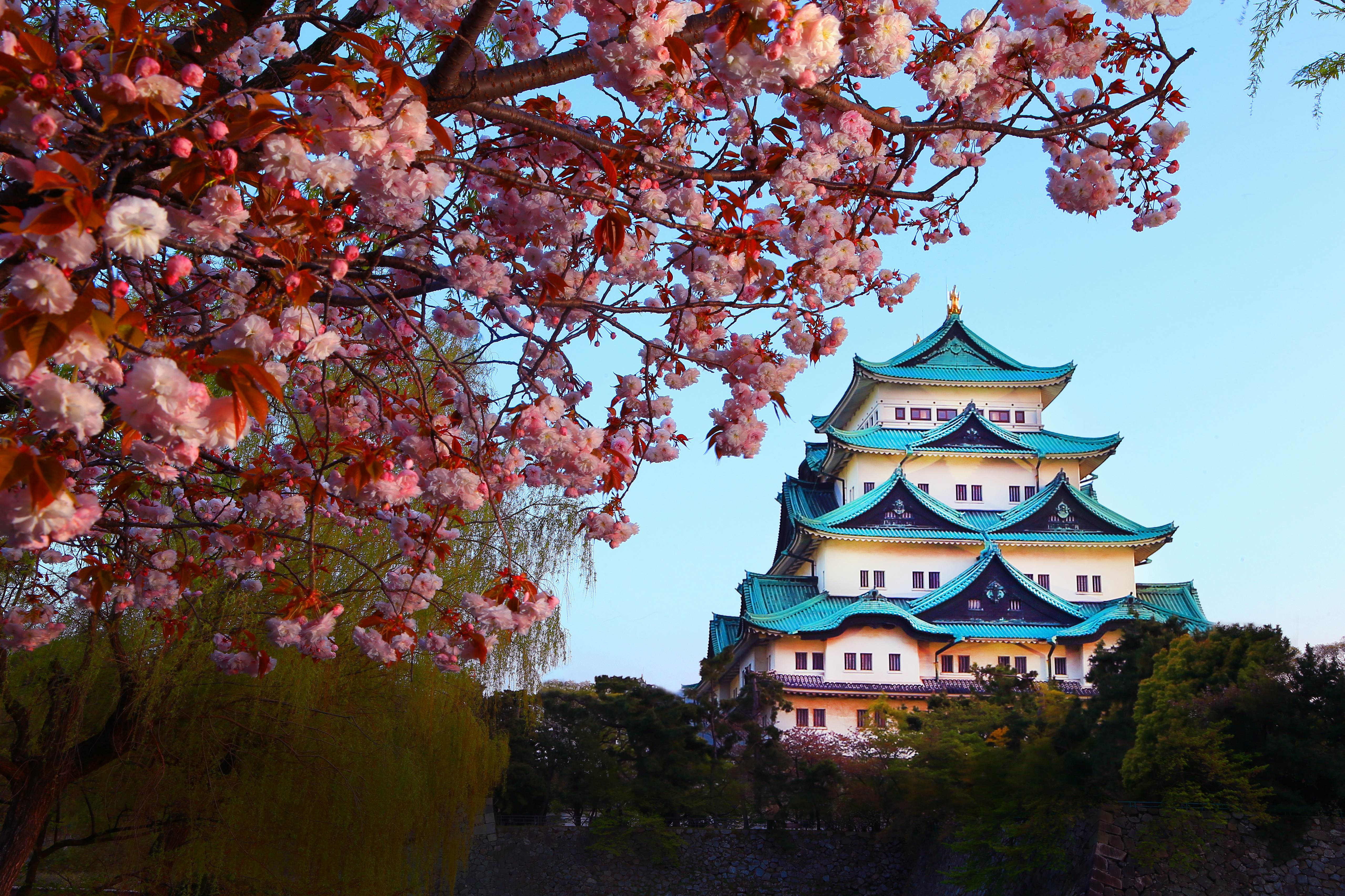 Nagoya Castle, Japan