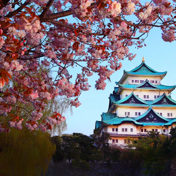 Nagoya Castle, Japan
