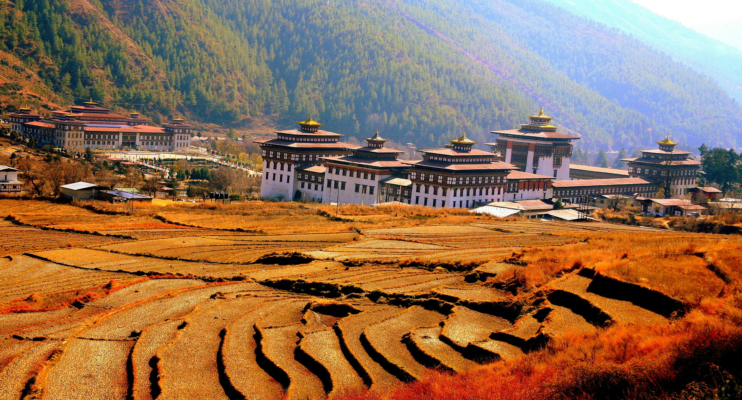 Terraced Fields and Government Buildings - Thimphu
