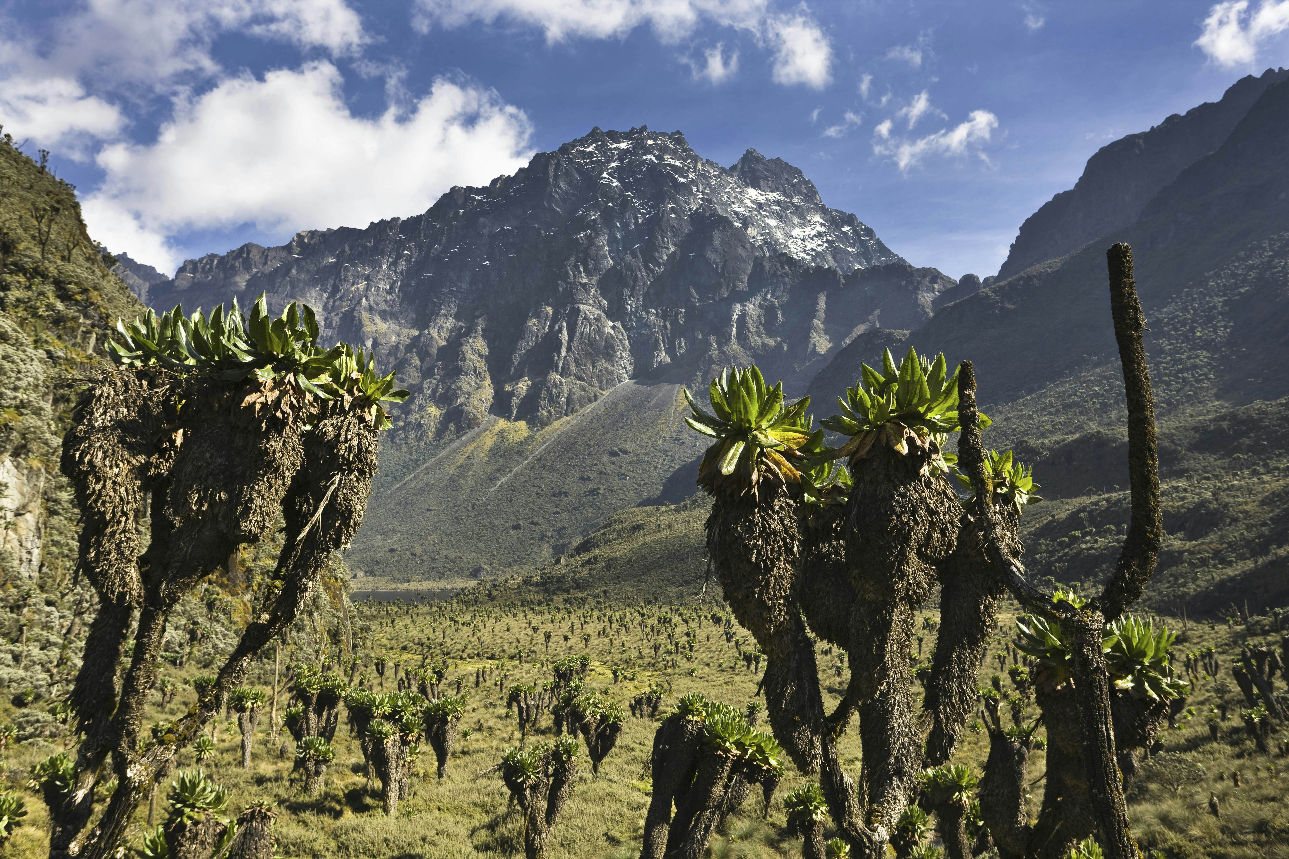 Rwenzori National Park Travel Southwestern Uganda Uganda Lonely Planet   GettyImages 173987649 Full 